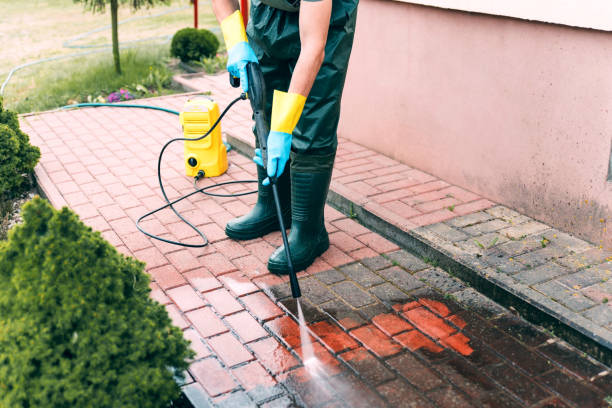 Animal Enclosure Cleaning in Redland, TX
